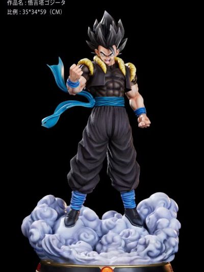 Gogeta is wearing black